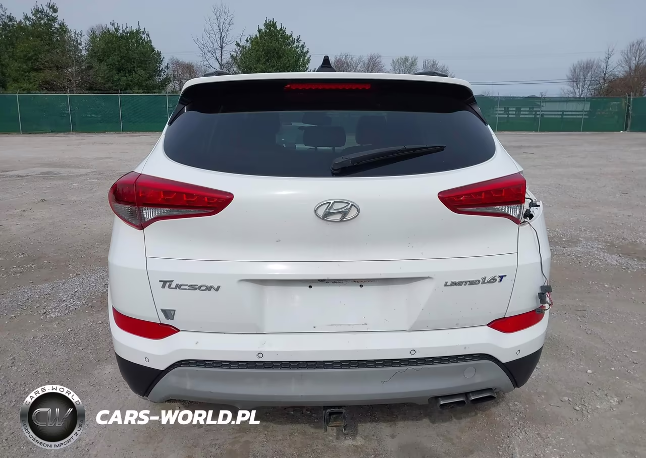 2017 Hyundai Tucson Limited VIN:KM8J33A24HU282916 - 17