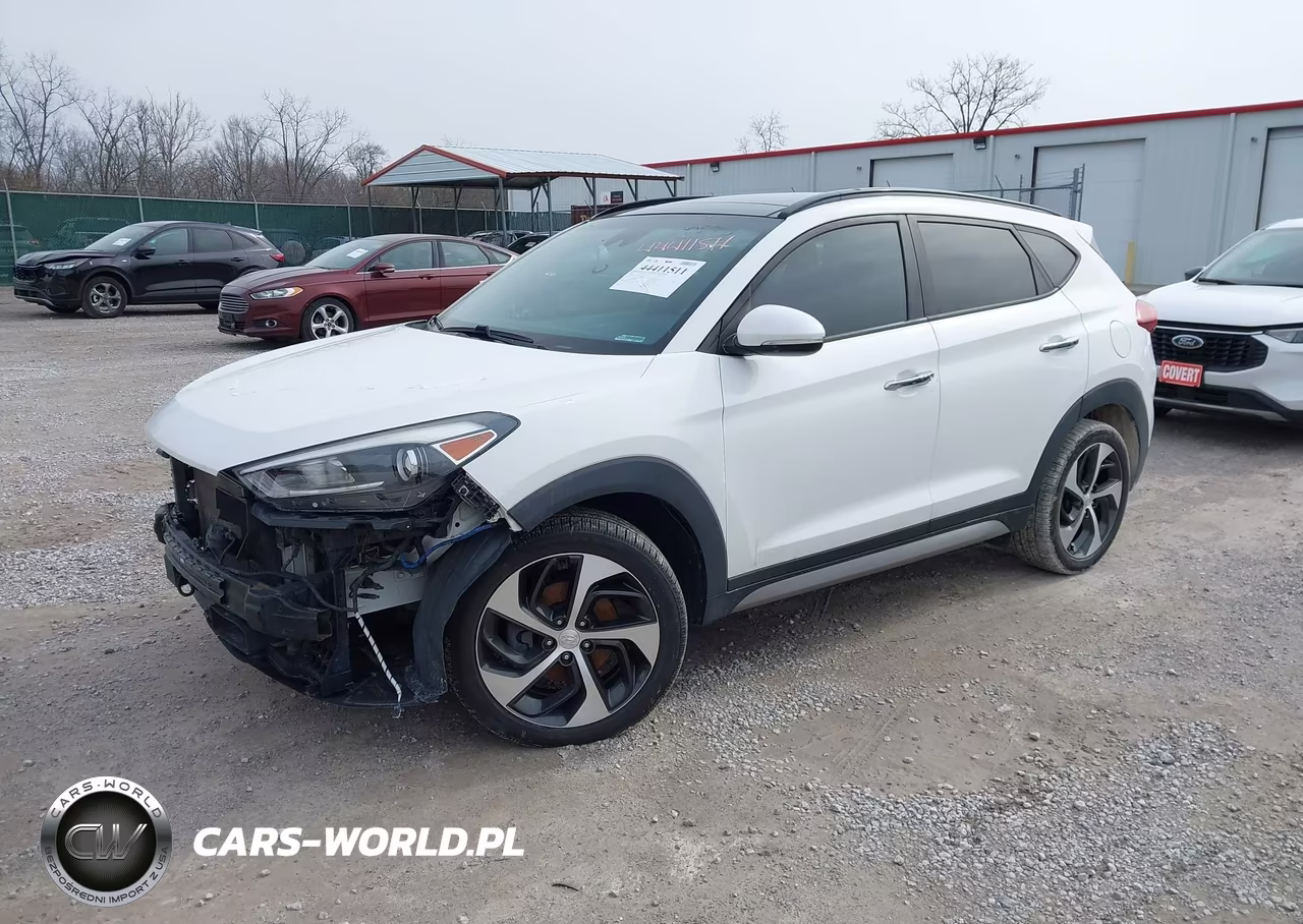 2017 Hyundai Tucson Limited VIN:KM8J33A24HU282916 - 2