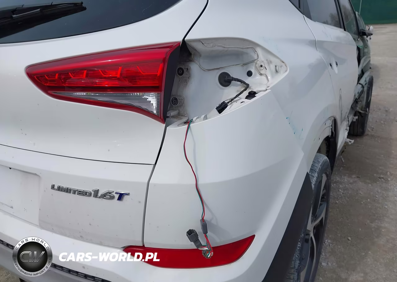 2017 Hyundai Tucson Limited VIN:KM8J33A24HU282916 - 22