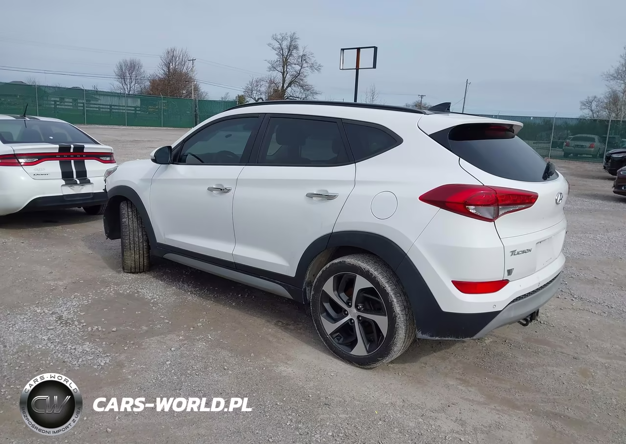 2017 Hyundai Tucson Limited VIN:KM8J33A24HU282916 - 3
