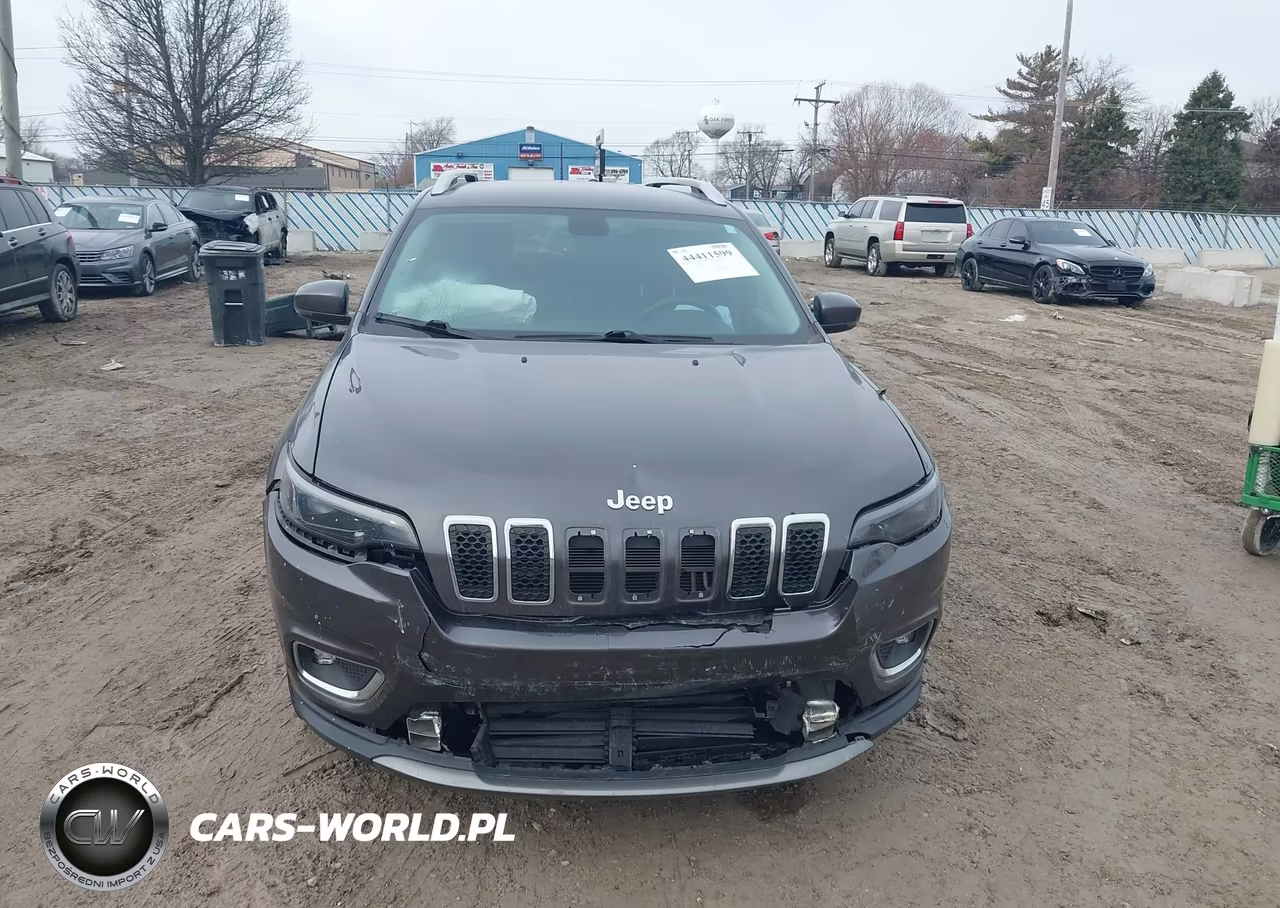 2019 Jeep Cherokee Limited 4X4 VIN:1C4PJMDN1KD169724 - 12