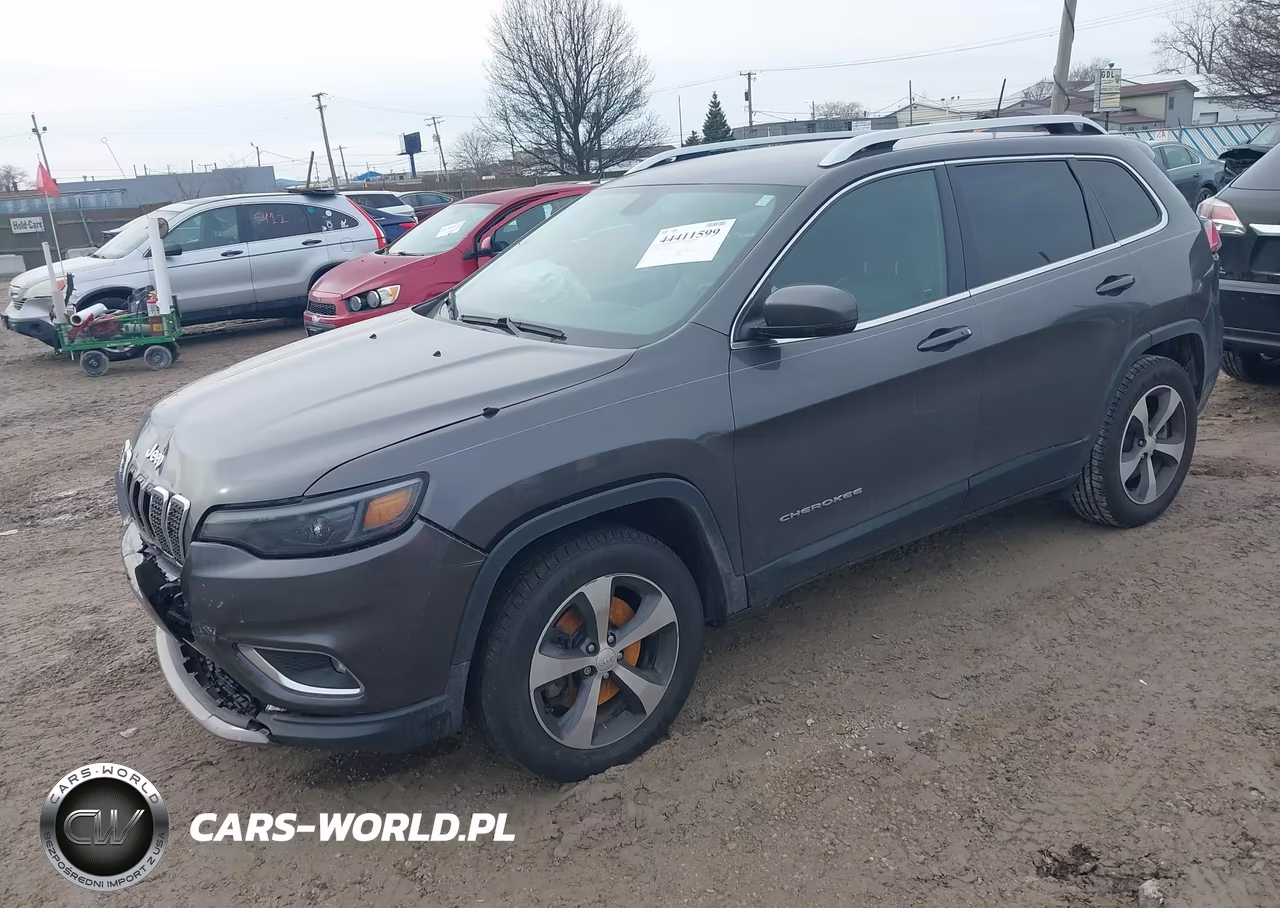 2019 Jeep Cherokee Limited 4X4 VIN:1C4PJMDN1KD169724 - 2