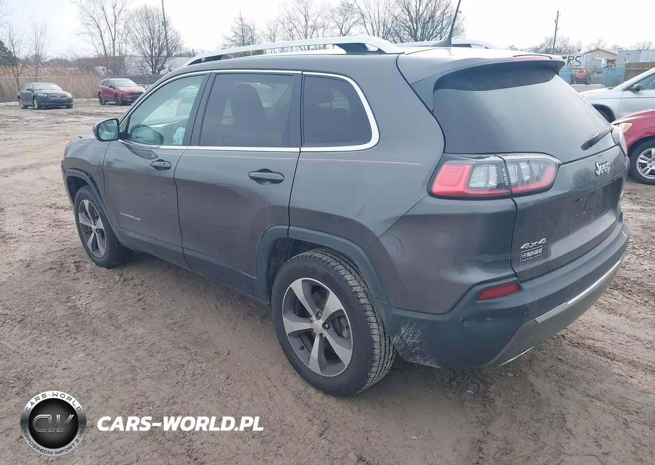 2019 Jeep Cherokee Limited 4X4 VIN:1C4PJMDN1KD169724 - 3