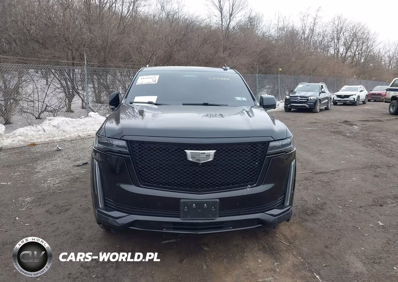 2022 Cadillac Escalade Sport VIN:1GYS4FKL0NR319225 - 12