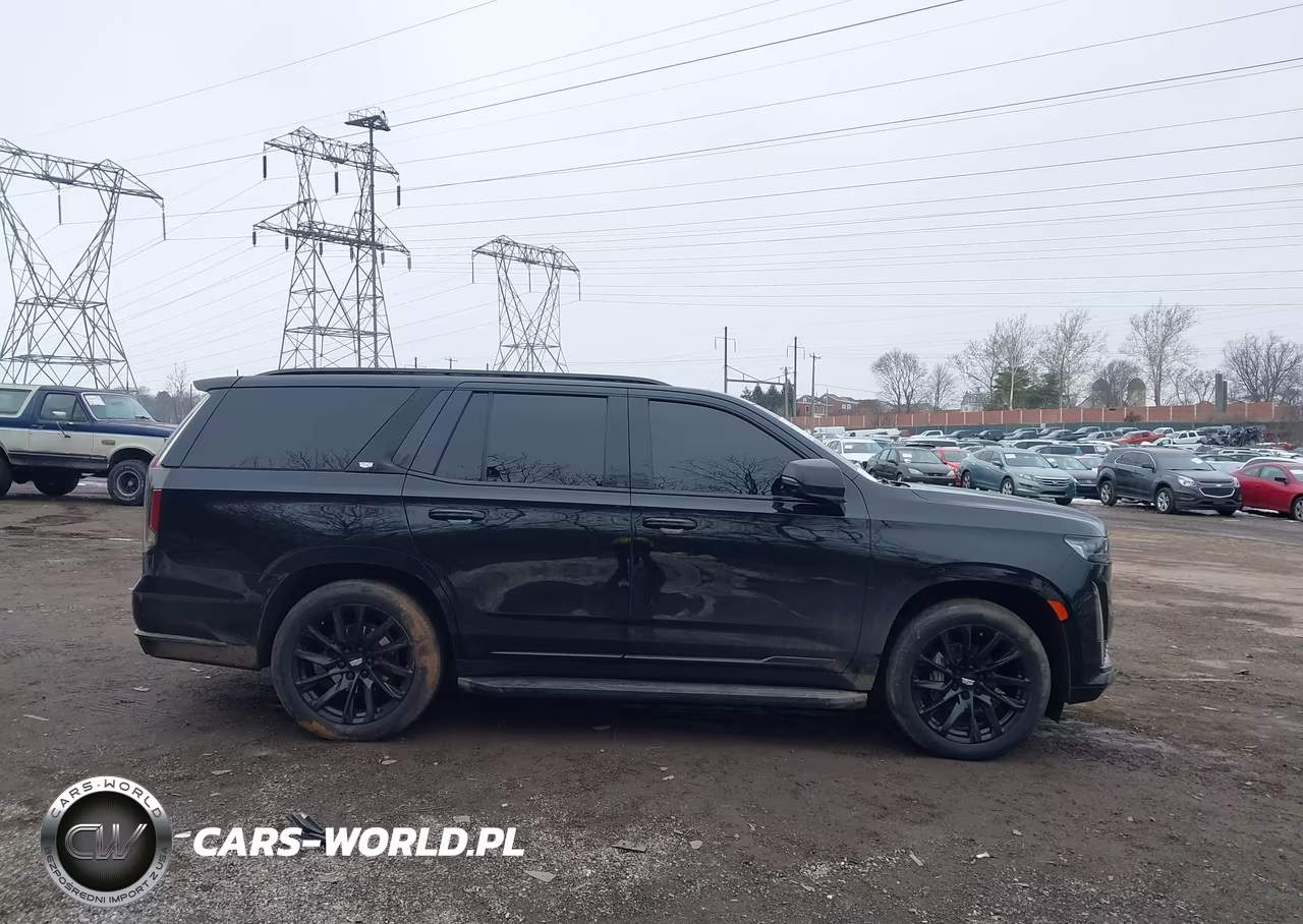 2022 Cadillac Escalade Sport VIN:1GYS4FKL0NR319225 - 13