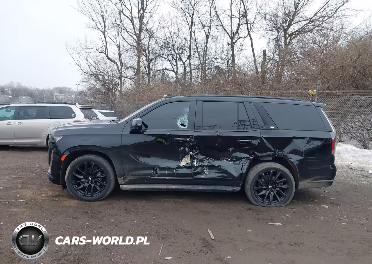 2022 Cadillac Escalade Sport VIN:1GYS4FKL0NR319225 - 6