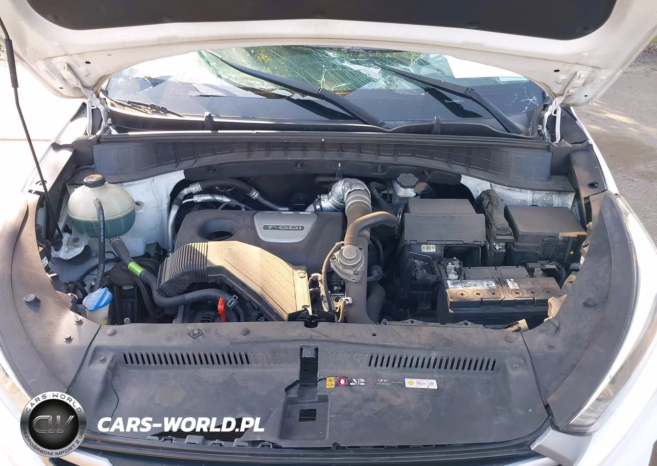 2018 Hyundai Tucson Value VIN:KM8J3CA24JU801324 - 10