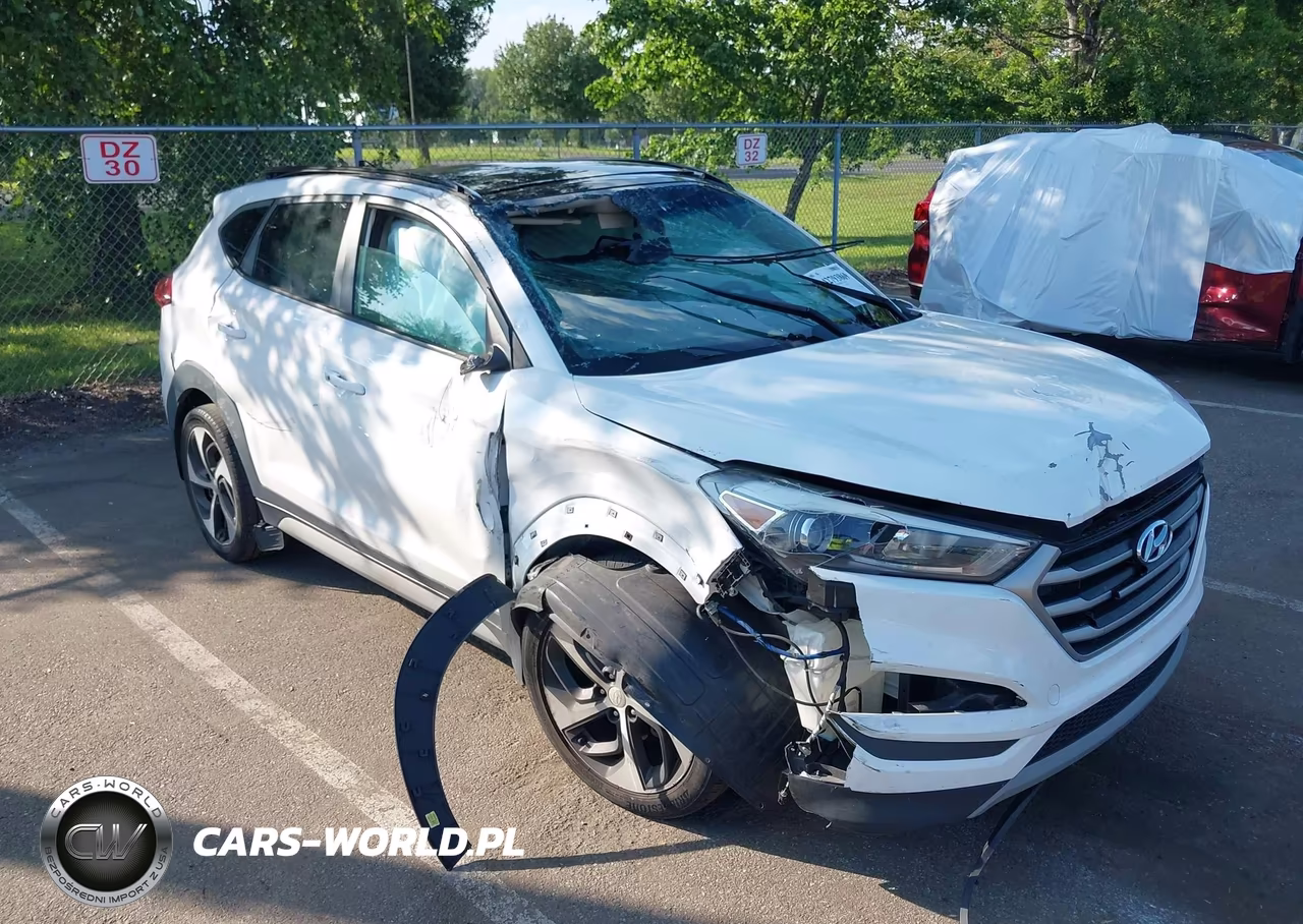 2018 Hyundai Tucson Value VIN:KM8J3CA24JU801324 - 6