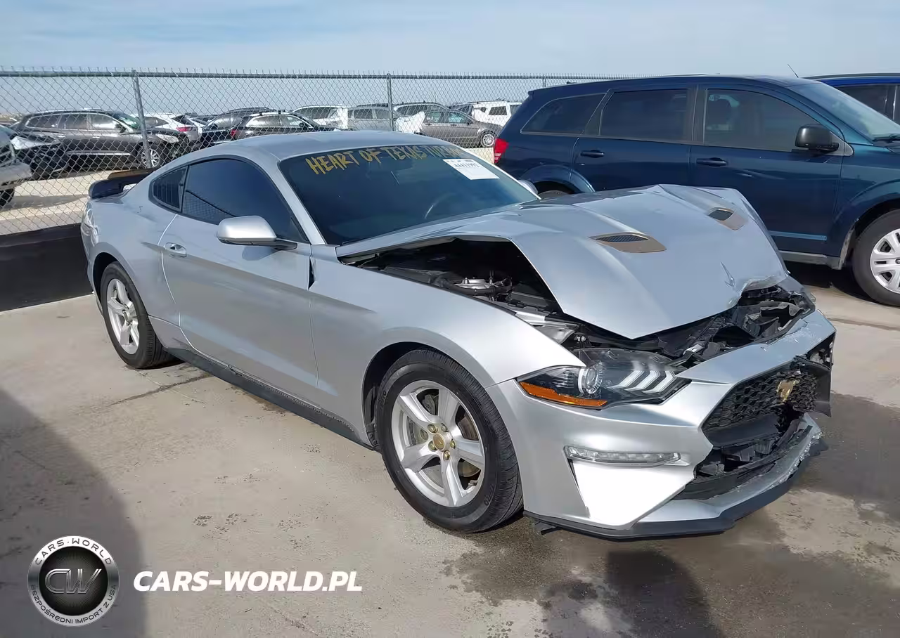 2019 Ford Mustang Ecoboost