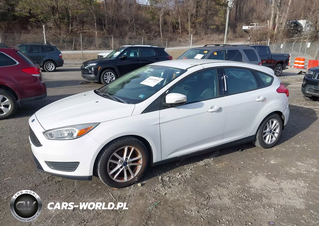 2016 Ford Focus Se VIN:1FADP3K24GL320336 - 2