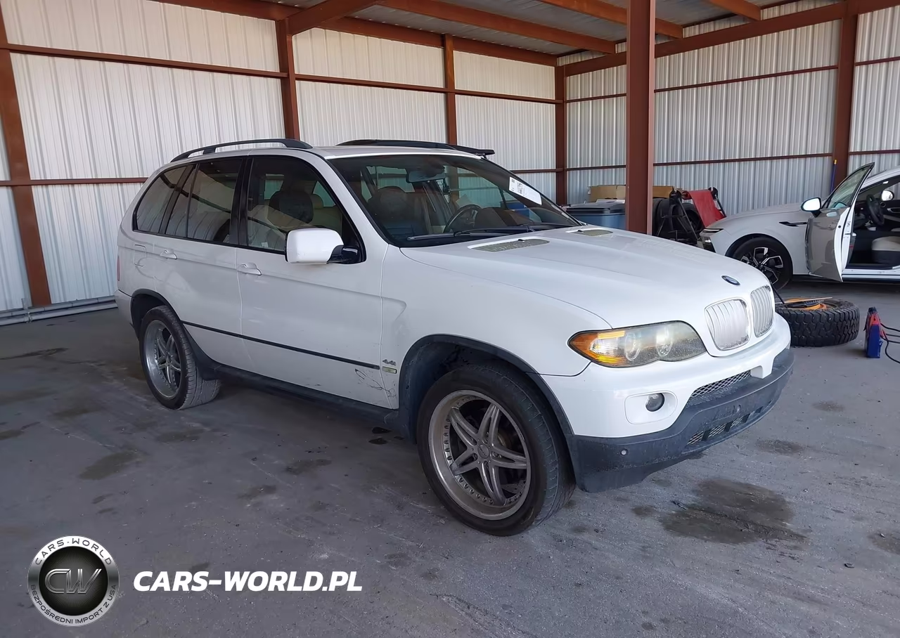 2005 BMW X5 4.4I VIN:5UXFB53535LV12123 - 1
