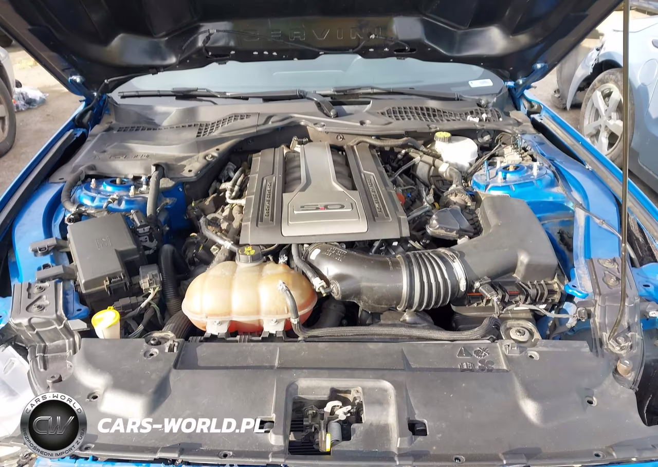 2019 Ford Mustang Gt VIN:1FA6P8CF9K5142542 - 10
