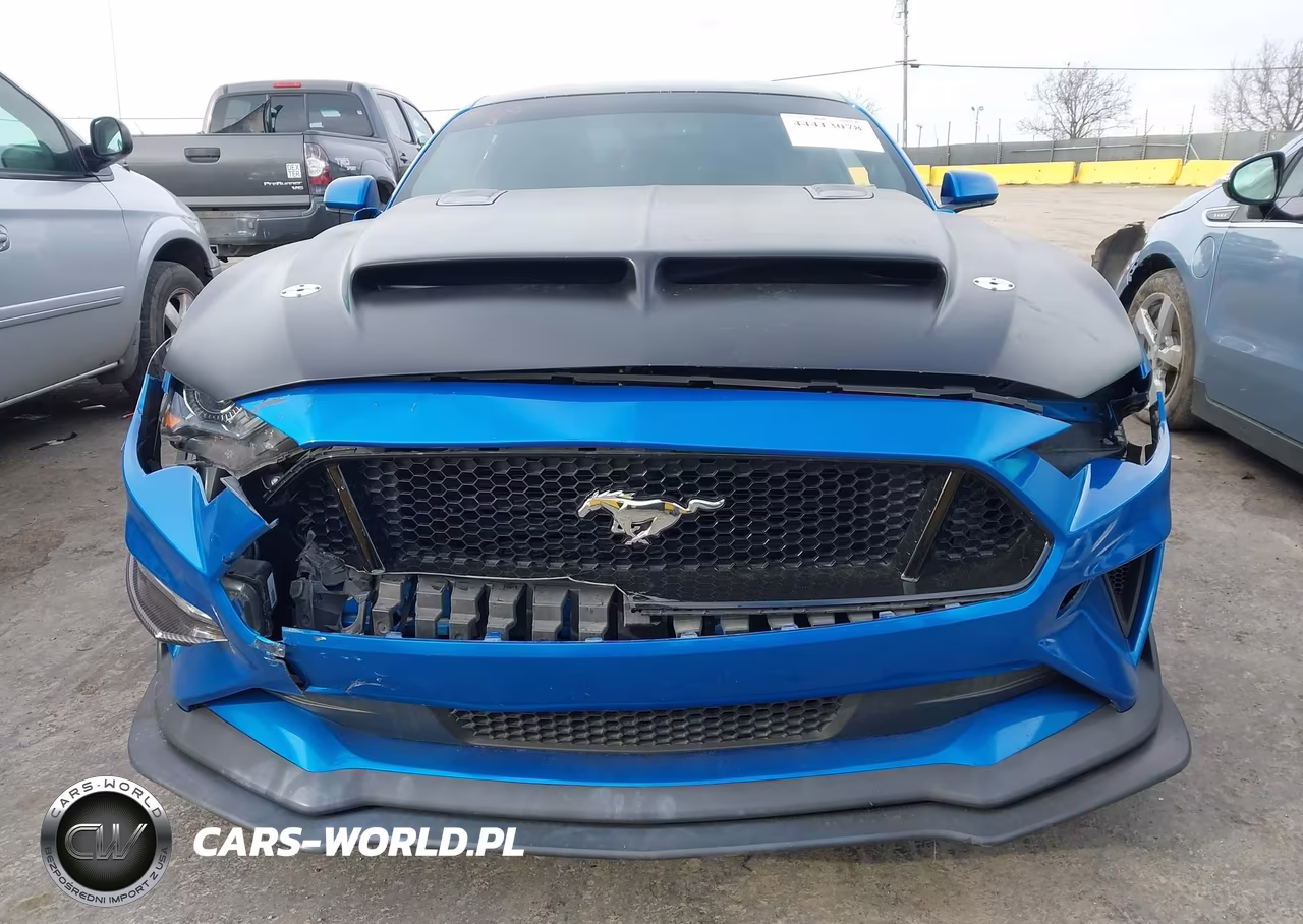 2019 Ford Mustang Gt VIN:1FA6P8CF9K5142542 - 12