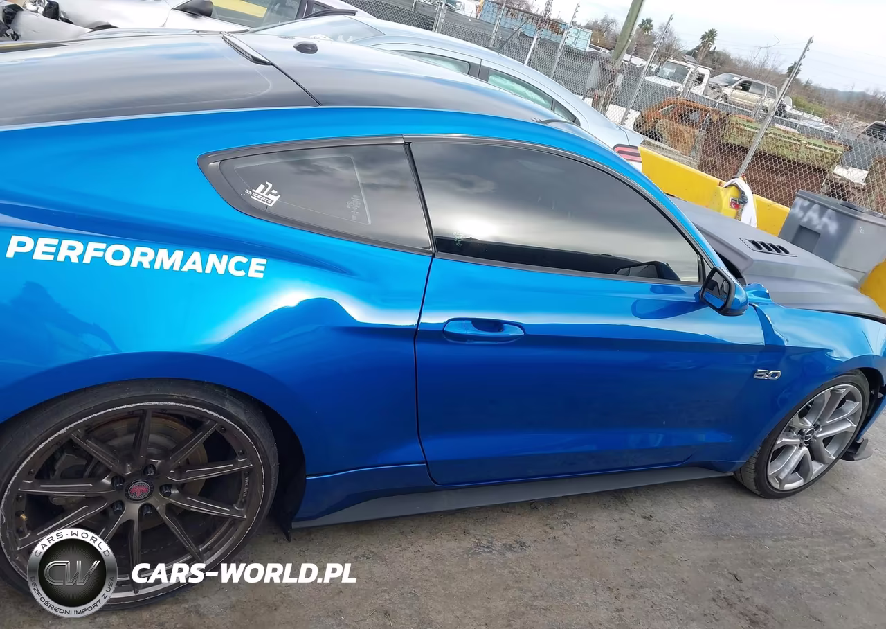 2019 Ford Mustang Gt VIN:1FA6P8CF9K5142542 - 13