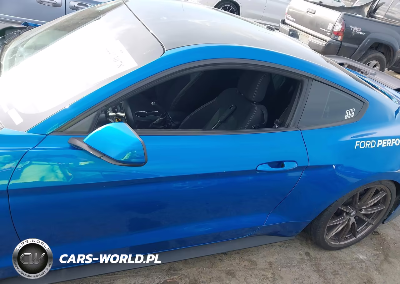 2019 Ford Mustang Gt VIN:1FA6P8CF9K5142542 - 14