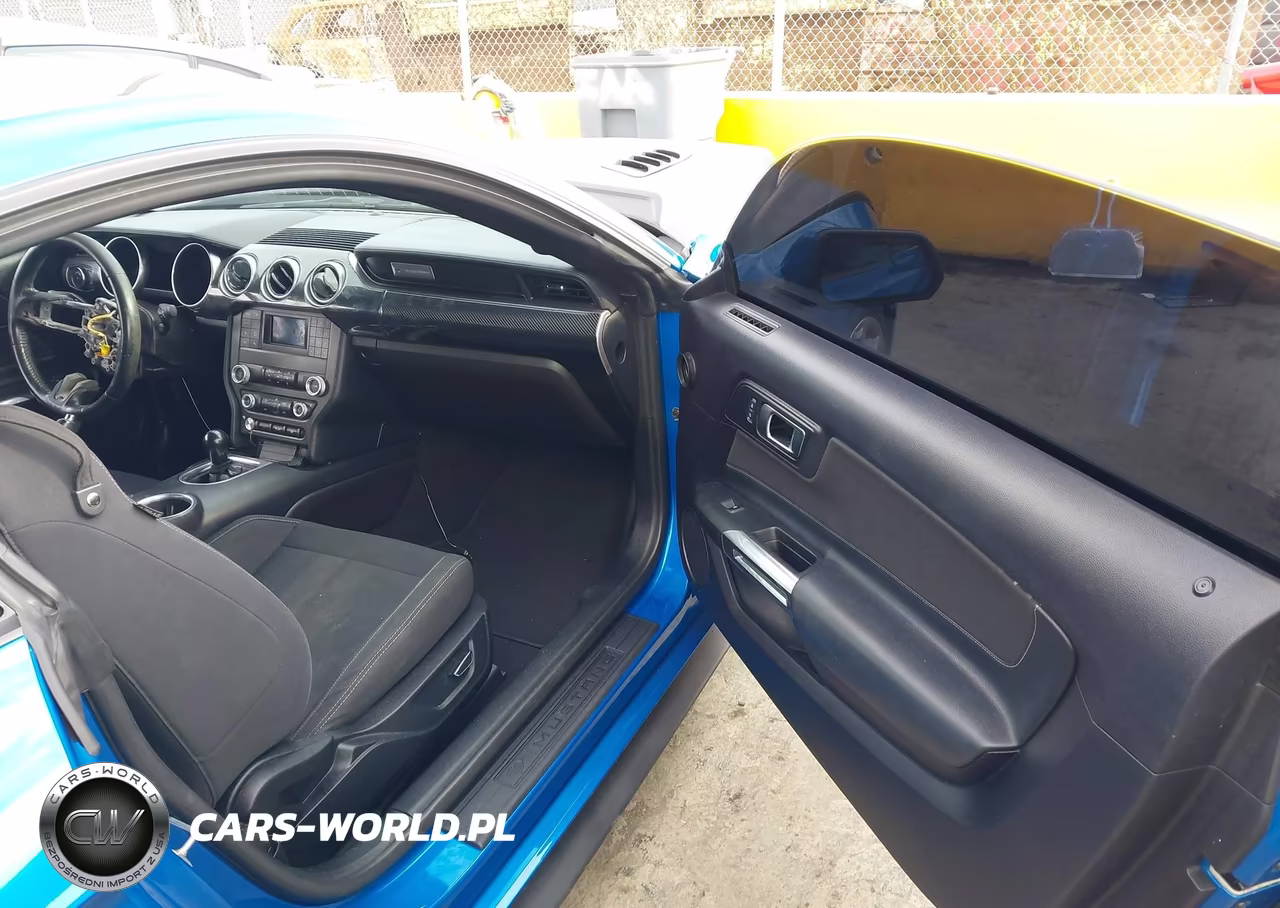 2019 Ford Mustang Gt VIN:1FA6P8CF9K5142542 - 5
