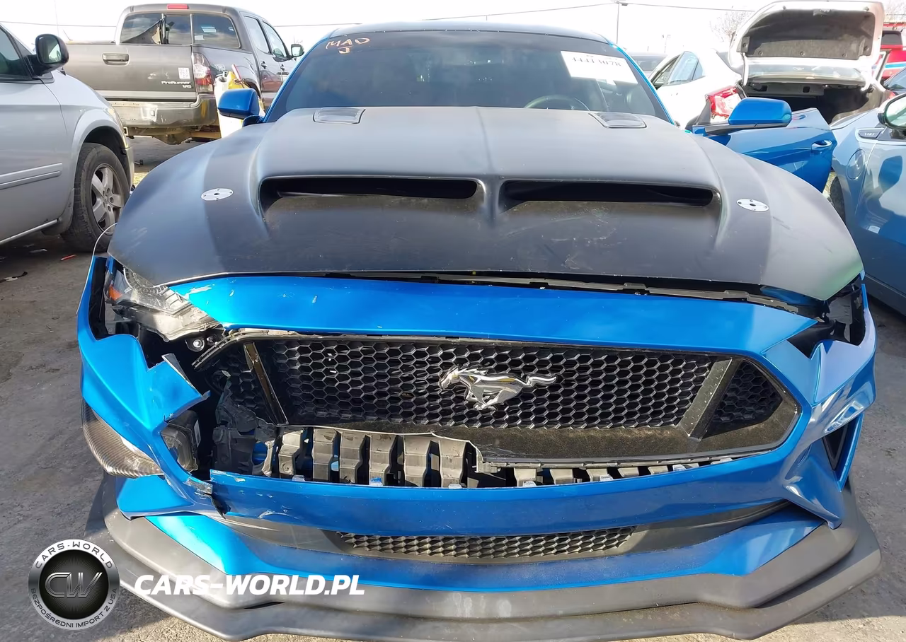 2019 Ford Mustang Gt VIN:1FA6P8CF9K5142542 - 6