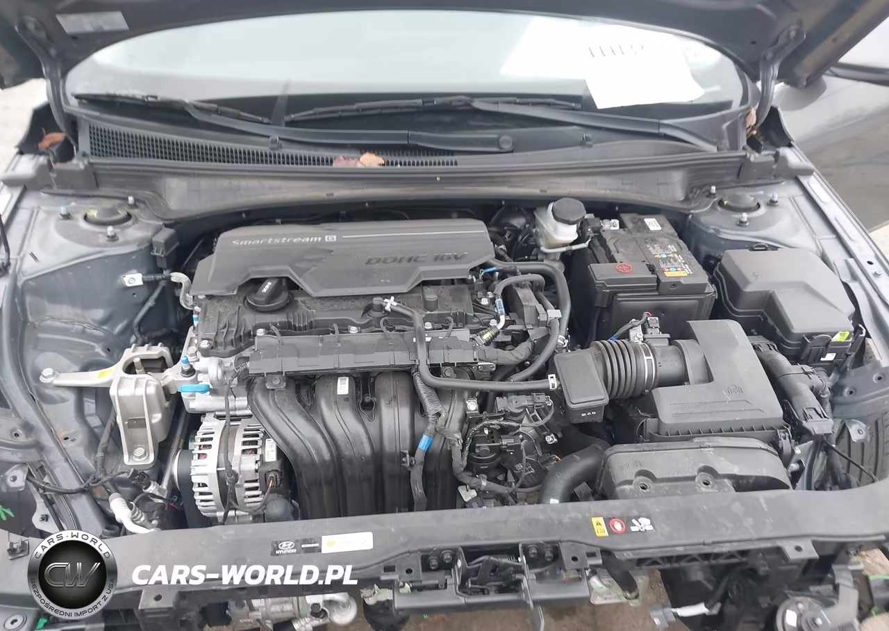 2025 Hyundai Elantra Limited VIN:KMHLP4DG1SU867857 - 10