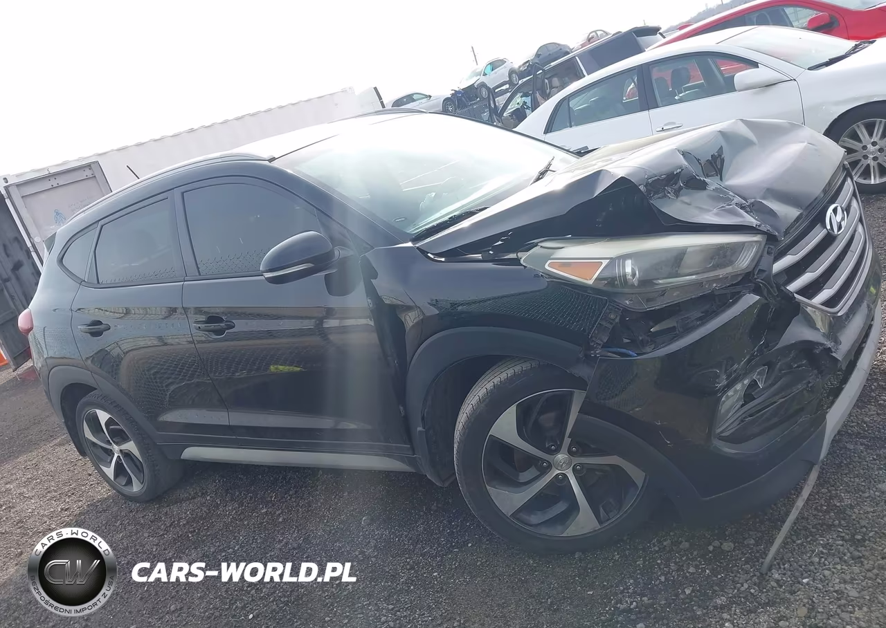 2017 Hyundai Tucson Sport VIN:KM8J33A25HU583081 - 13