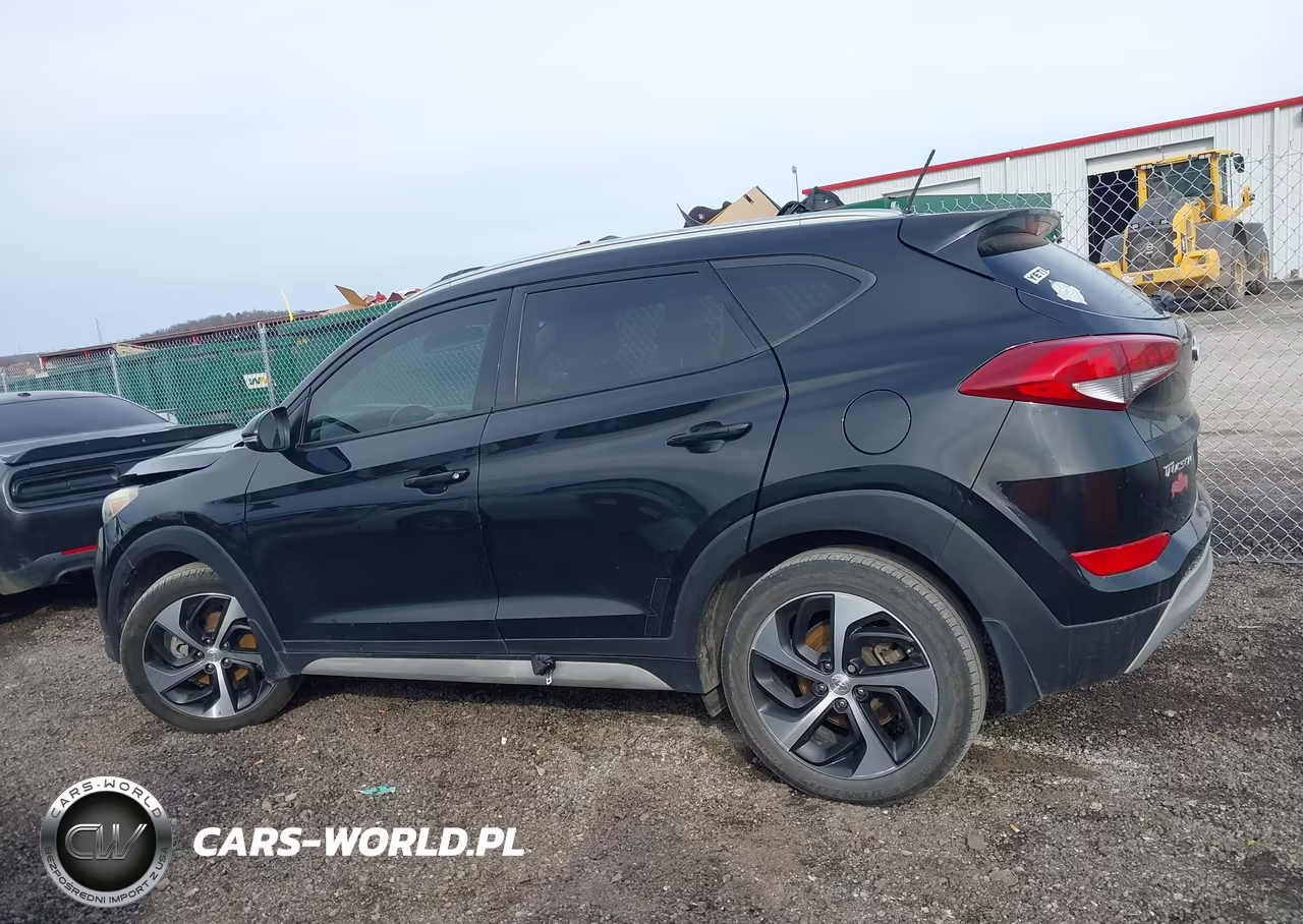 2017 Hyundai Tucson Sport VIN:KM8J33A25HU583081 - 14