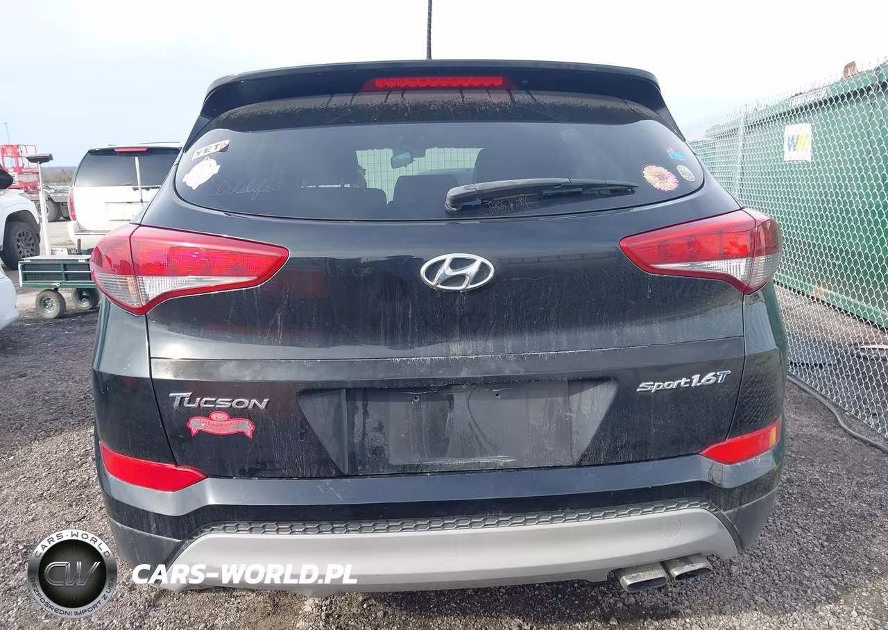2017 Hyundai Tucson Sport VIN:KM8J33A25HU583081 - 16