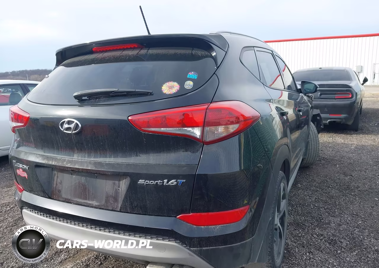 2017 Hyundai Tucson Sport VIN:KM8J33A25HU583081 - 4