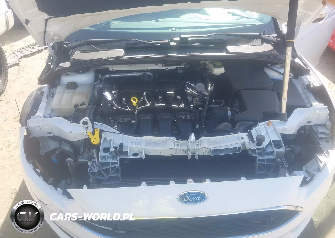 2017 Ford Focus Se VIN:1FADP3F28HL304880 - 10