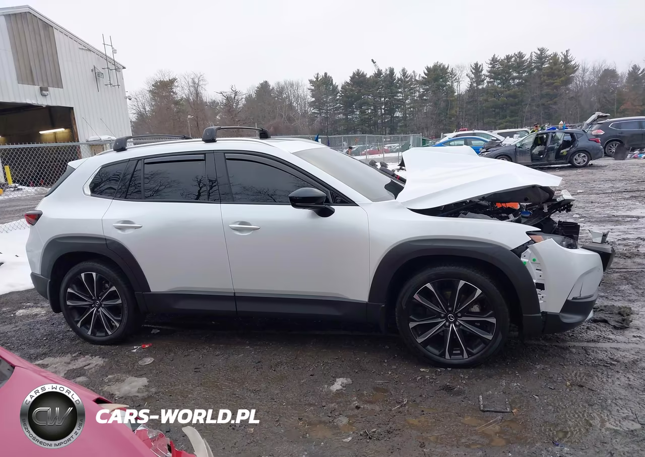 2024 Mazda Cx-50 2.5 Turbo Premium Plus VIN:7MMVABEY8RN201934 - 14