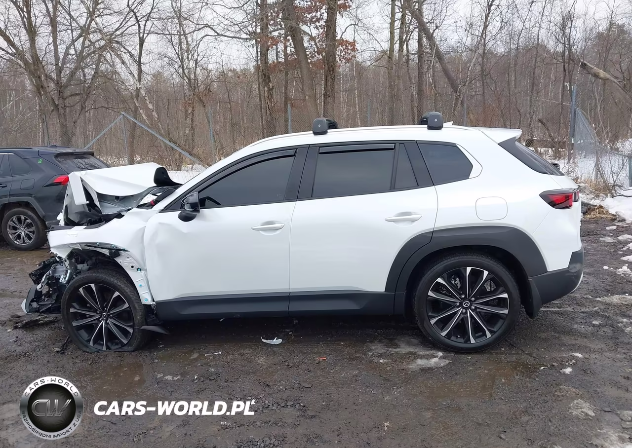 2024 Mazda Cx-50 2.5 Turbo Premium Plus VIN:7MMVABEY8RN201934 - 15