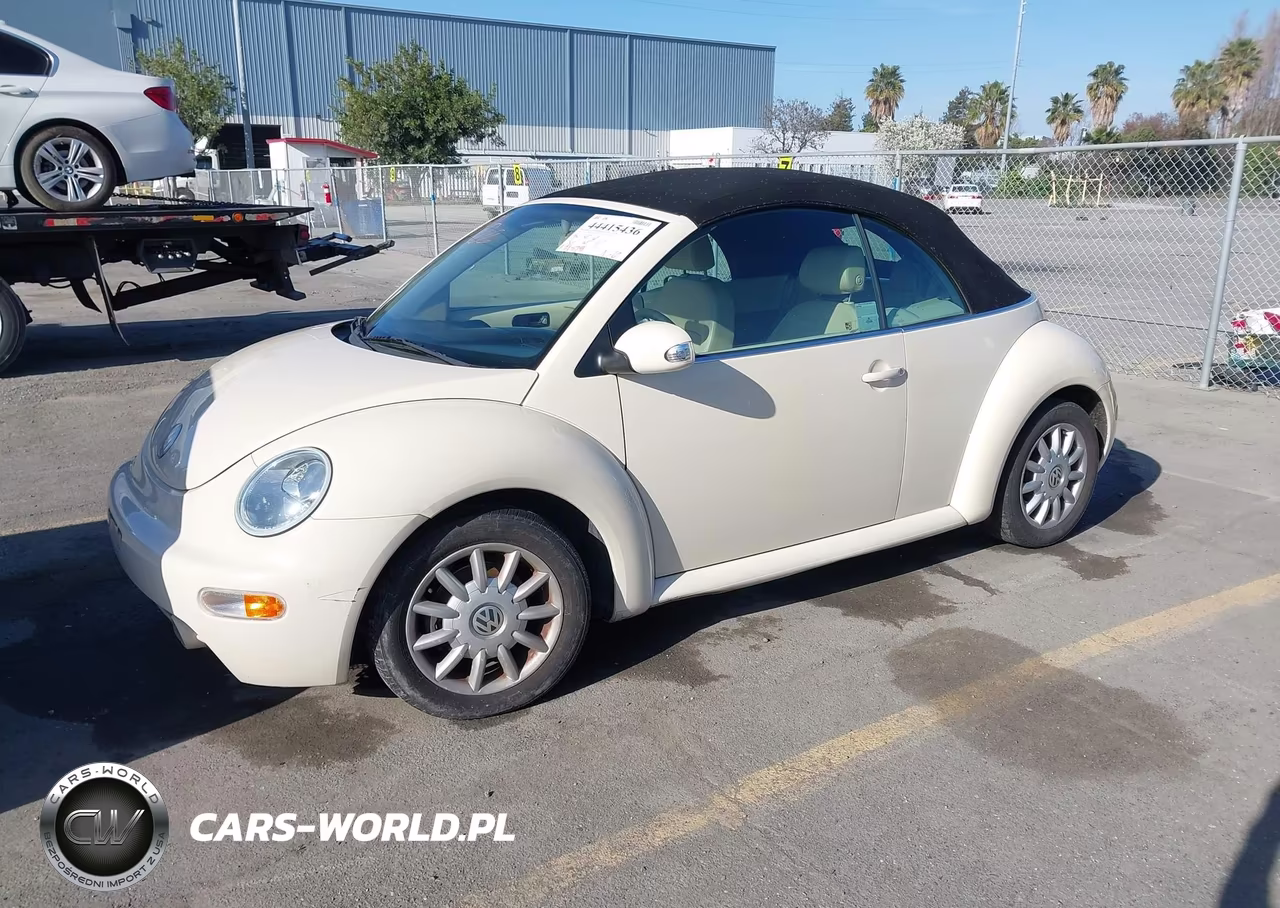 2005 Volkswagen New Beetle Gls VIN:3VWCM31Y85M318277 - 2
