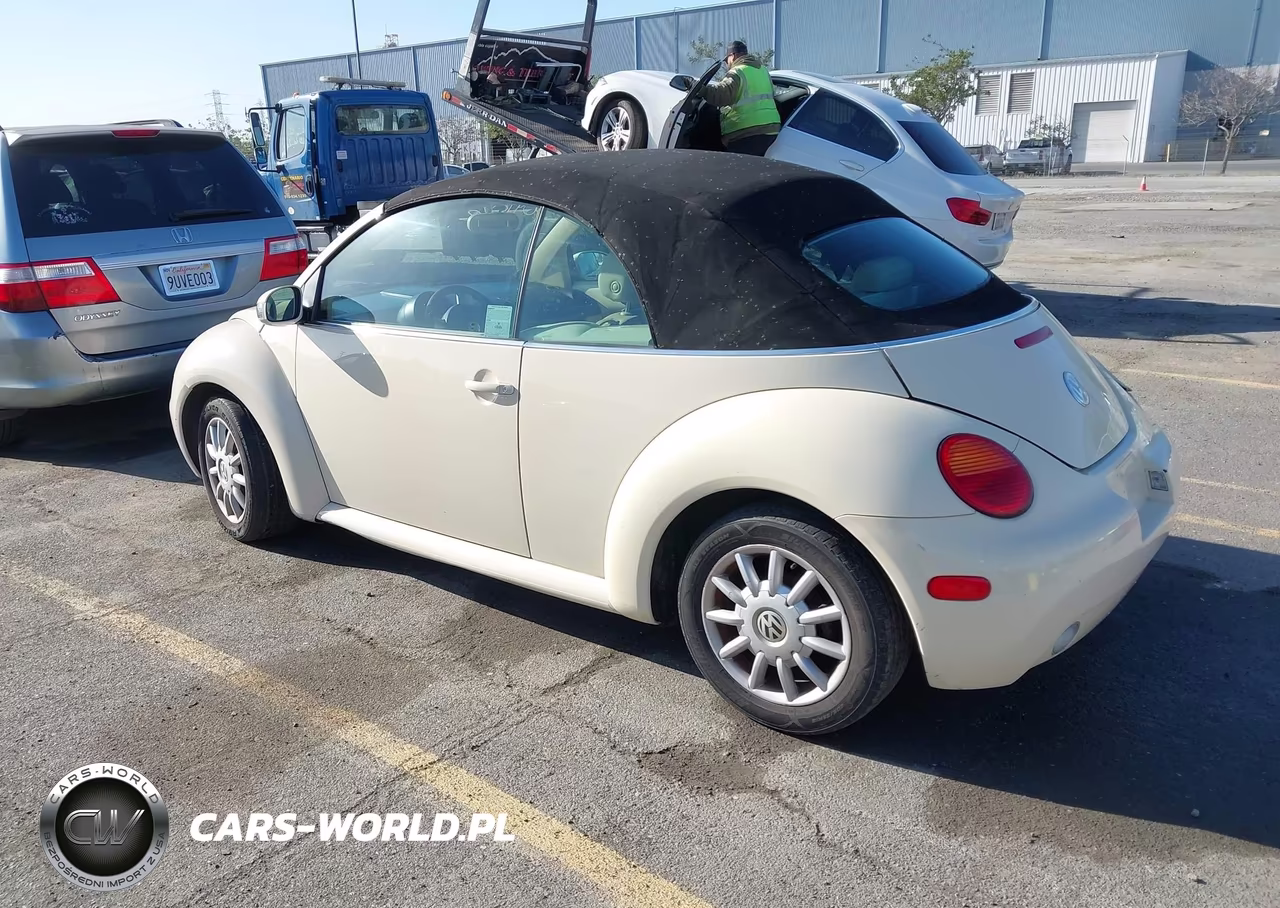 2005 Volkswagen New Beetle Gls VIN:3VWCM31Y85M318277 - 3