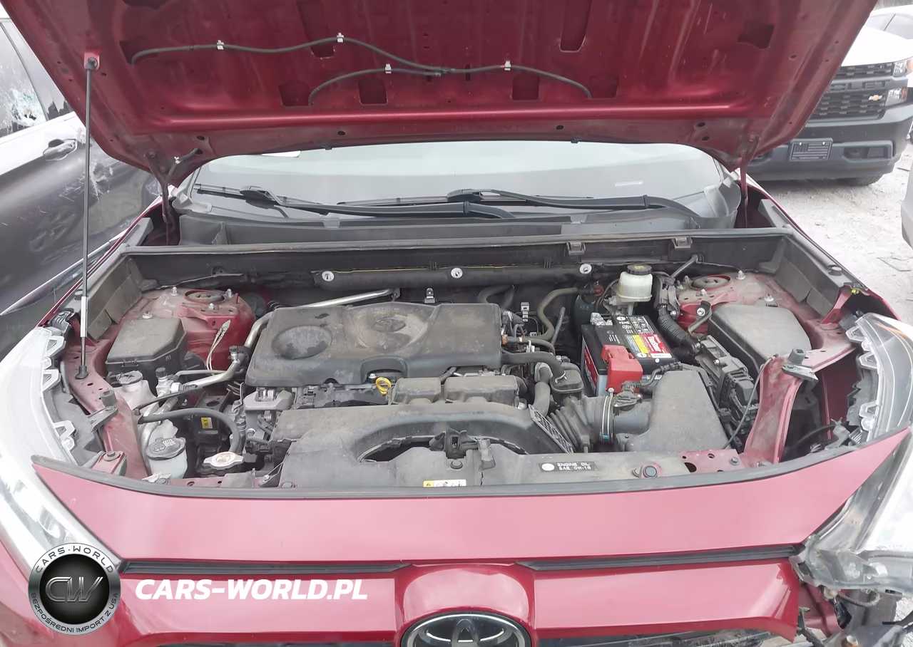 2019 Toyota Rav4 Xle VIN:JTMP1RFV1KD022894 - 10