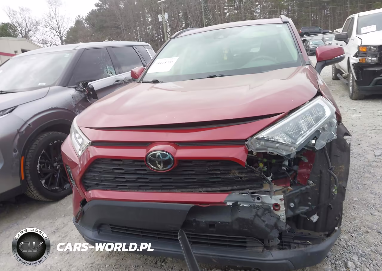 2019 Toyota Rav4 Xle VIN:JTMP1RFV1KD022894 - 12
