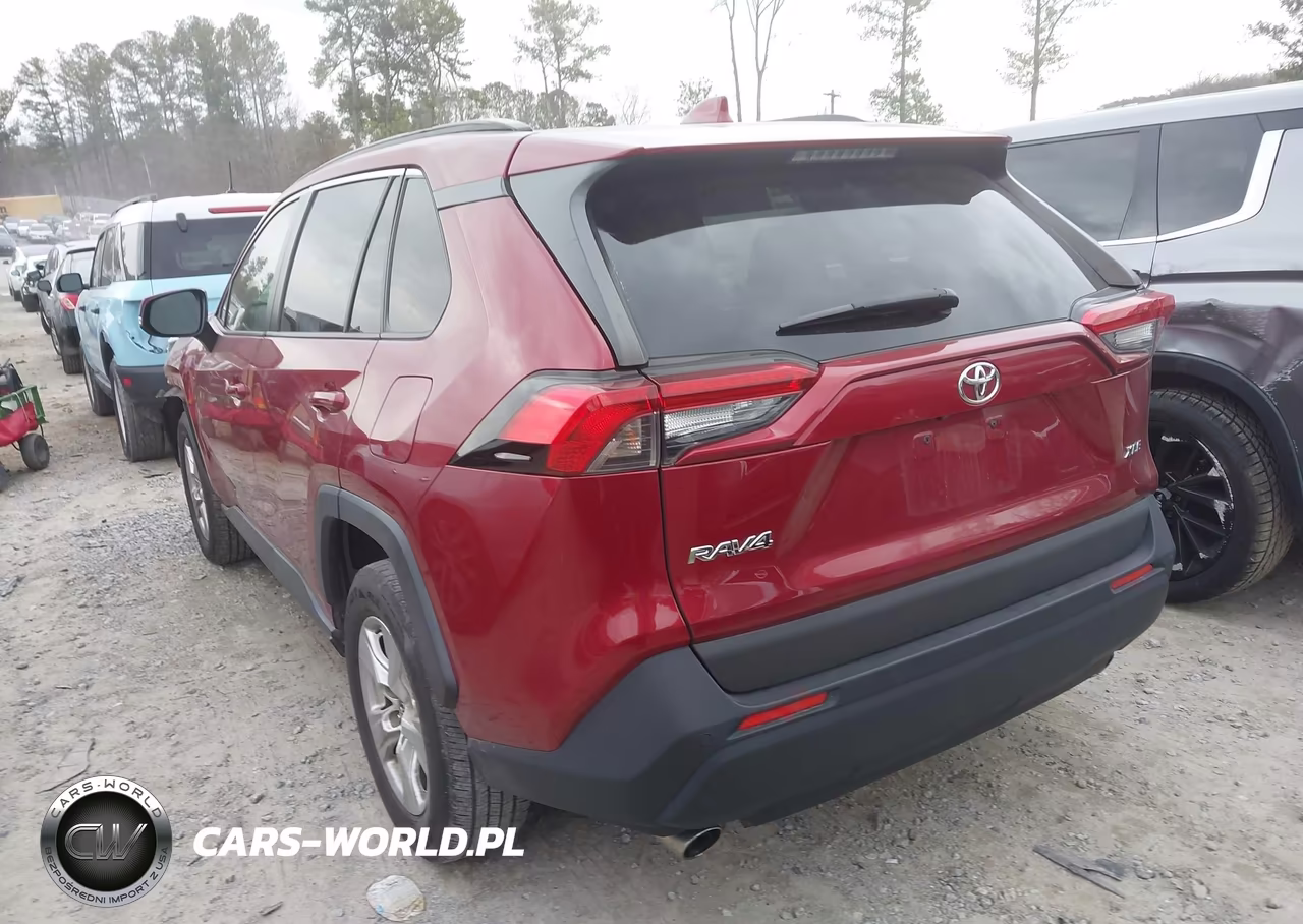 2019 Toyota Rav4 Xle VIN:JTMP1RFV1KD022894 - 3