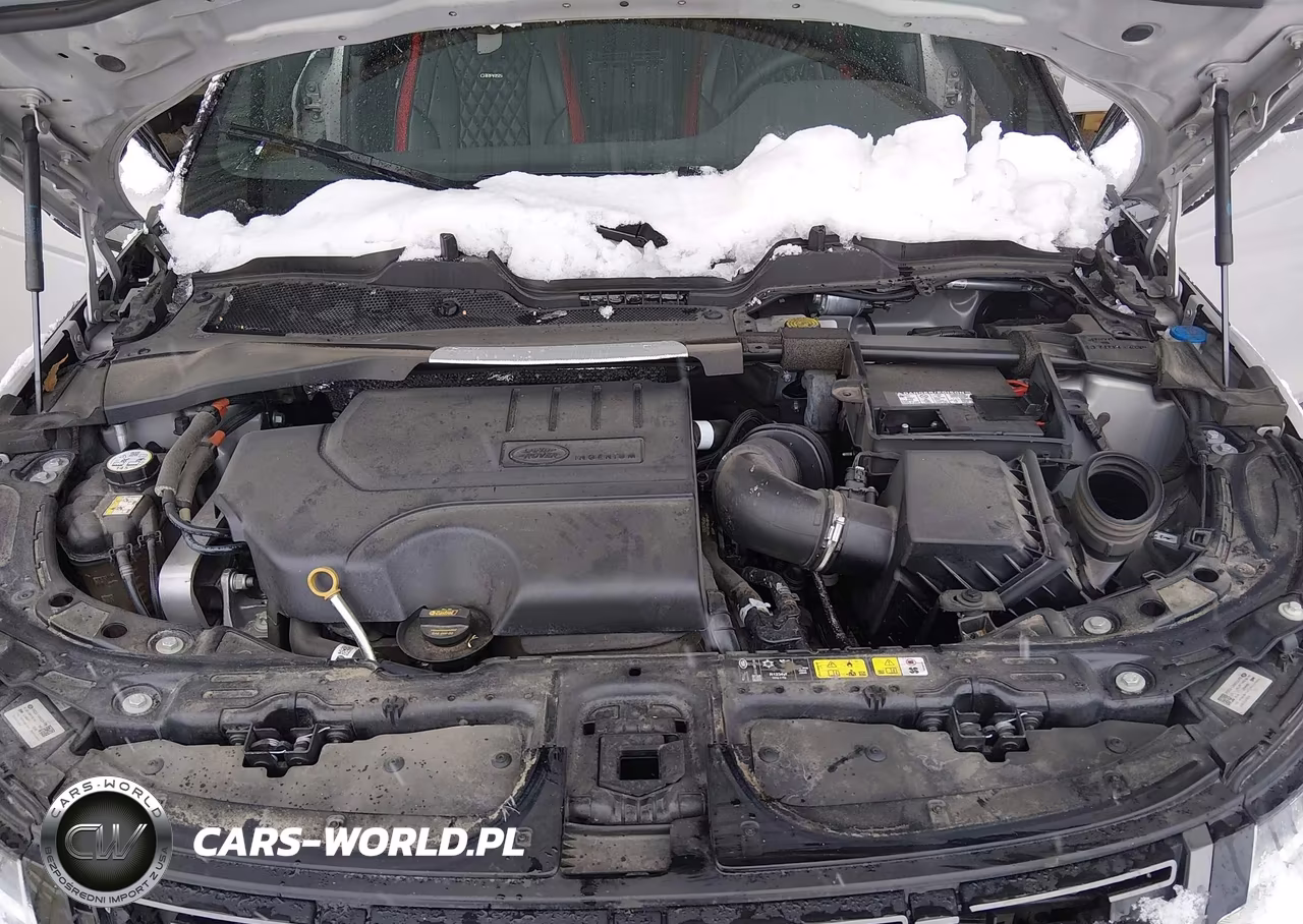 2024 Land Rover Range Rover Evoque Core S VIN:SALZJ2FX6RH240245 - 10