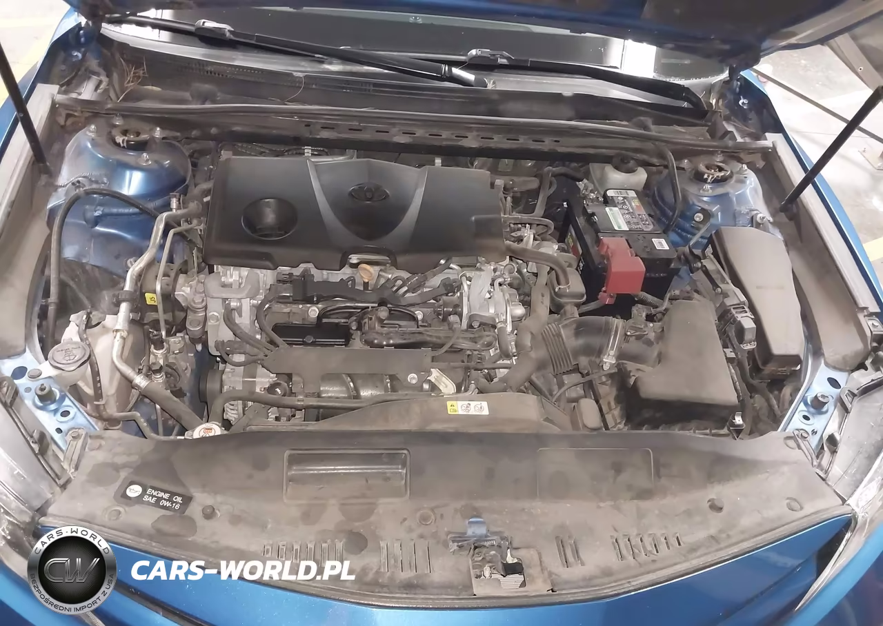 2020 Toyota Camry Le VIN:4T1C11AK5LU301484 - 10