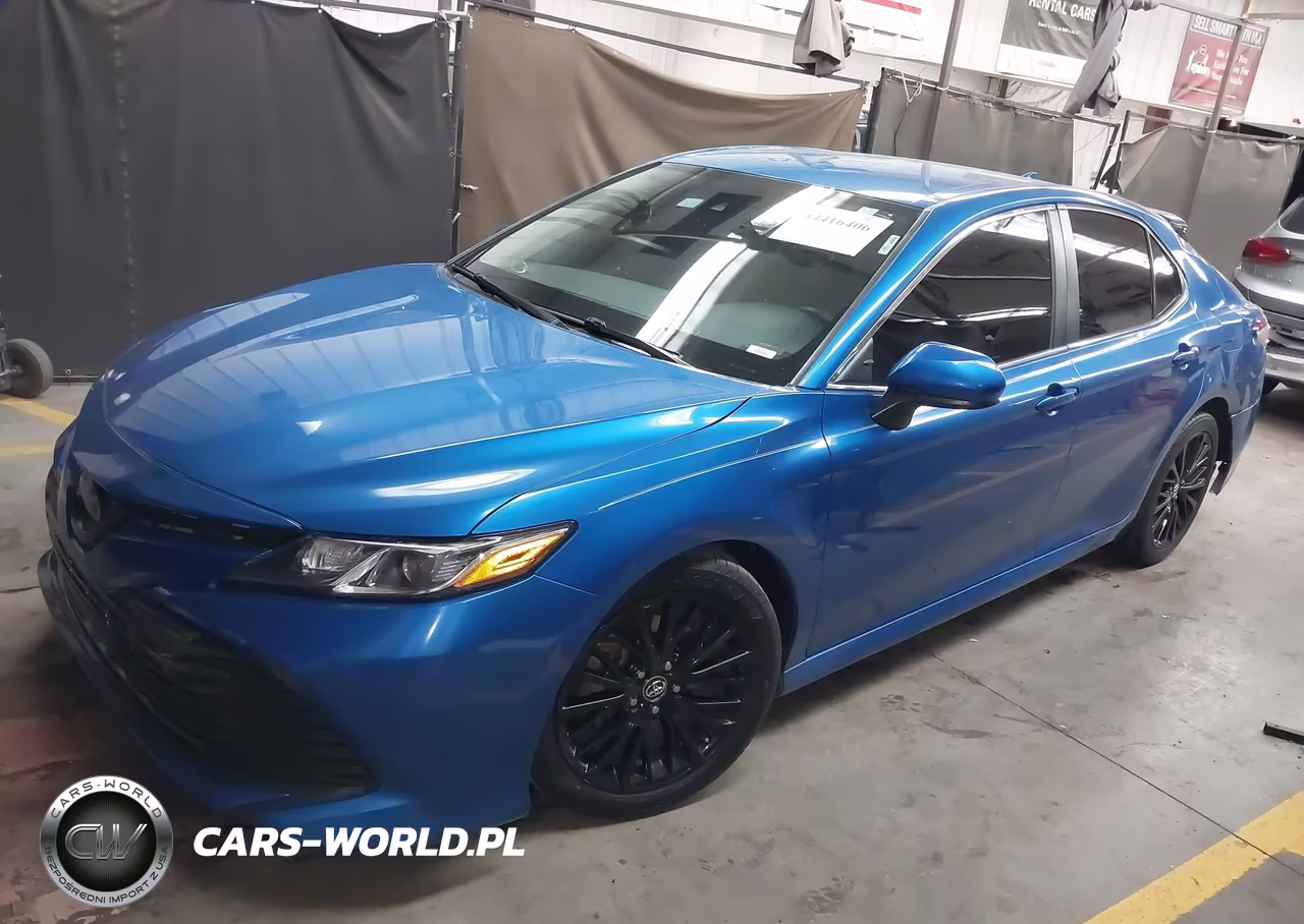 2020 Toyota Camry Le VIN:4T1C11AK5LU301484 - 2