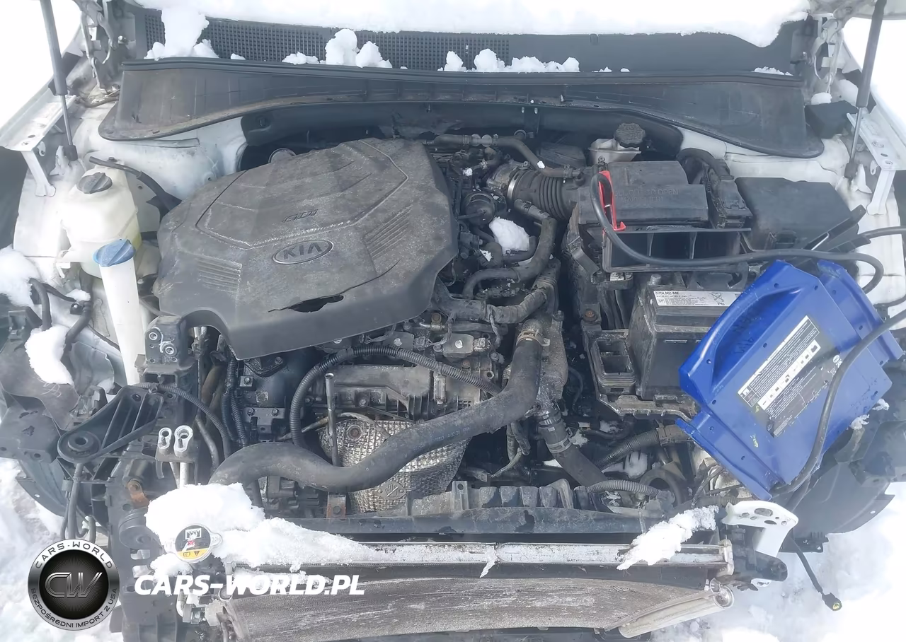 2020 Kia Sorento 3.3L Lx VIN:5XYPGDA5XLG618453 - 10