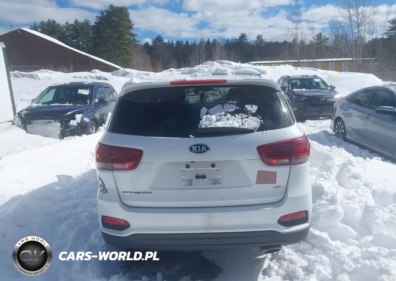 2020 Kia Sorento 3.3L Lx VIN:5XYPGDA5XLG618453 - 17