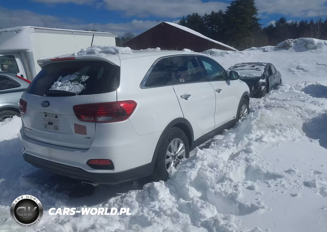2020 Kia Sorento 3.3L Lx VIN:5XYPGDA5XLG618453 - 4