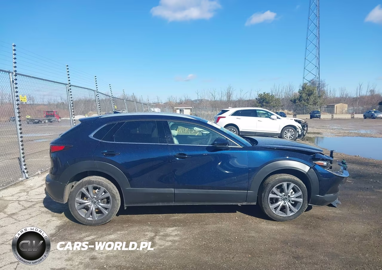 2025 Mazda Cx-30 2.5 S Premium Package VIN:3MVDMBDM9SM780657 - 13