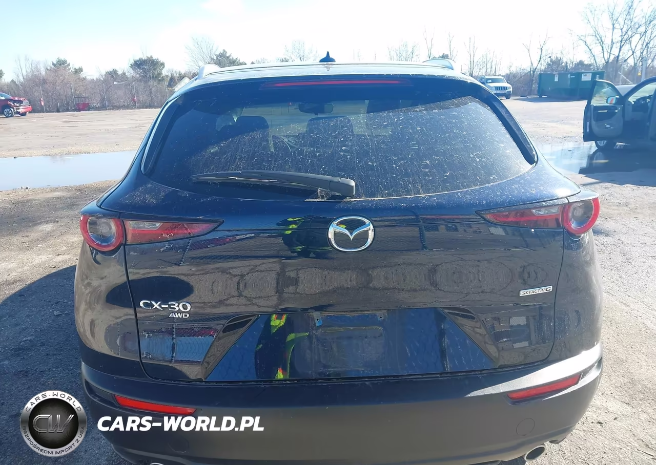 2025 Mazda Cx-30 2.5 S Premium Package VIN:3MVDMBDM9SM780657 - 16
