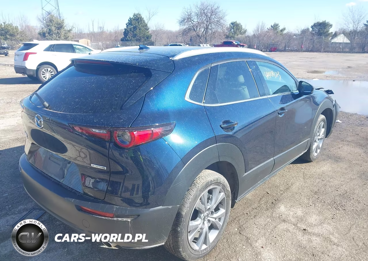 2025 Mazda Cx-30 2.5 S Premium Package VIN:3MVDMBDM9SM780657 - 4