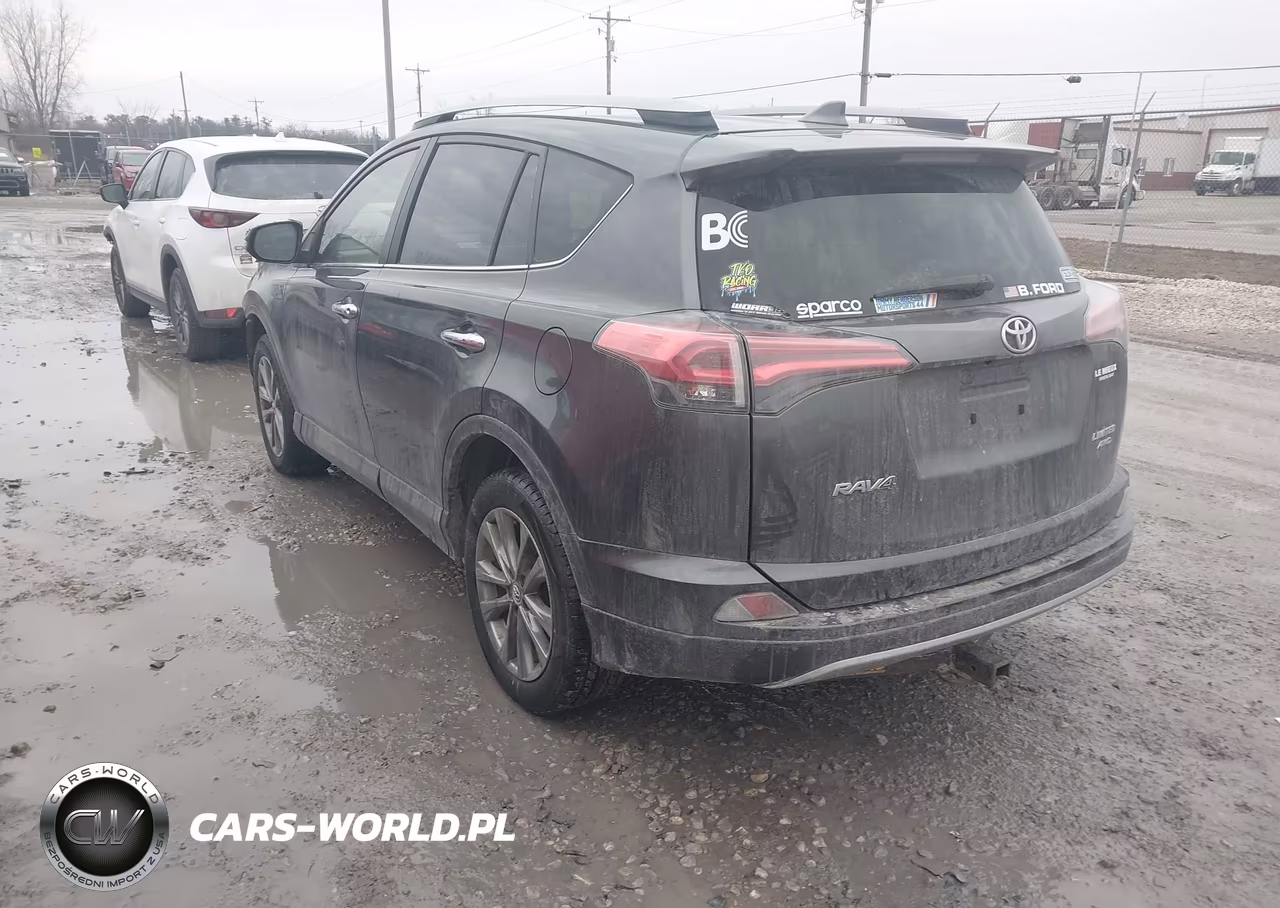 2018 Toyota Rav4 Limited VIN:JTMDFREV0JJ730236 - 3