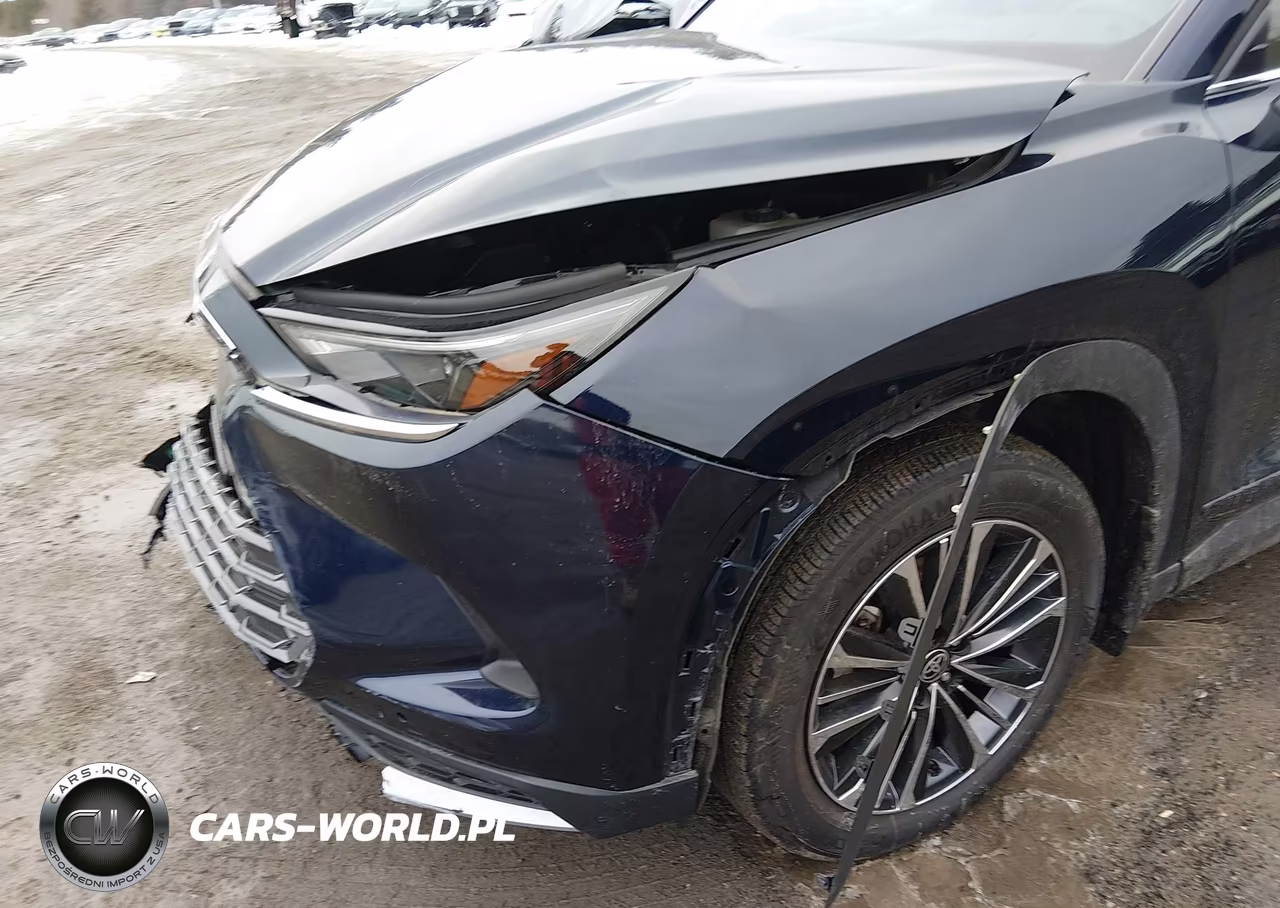 2025 Toyota Grand Highlander Hybrid Platinum Max VIN:5TDADAB59SS013059 - 17