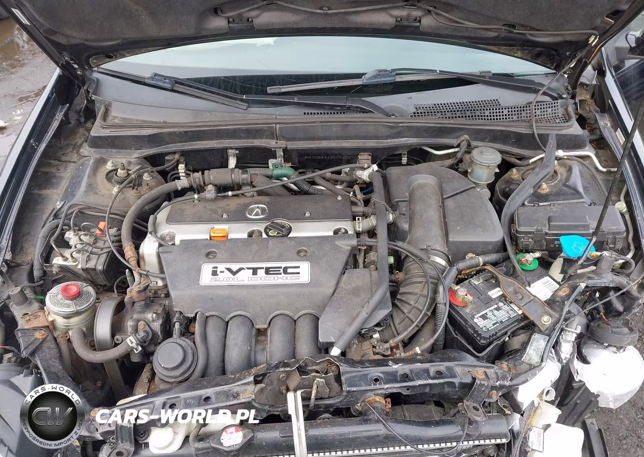 2002 Acura Rsx VIN:JH4DC54842C024307 - 10