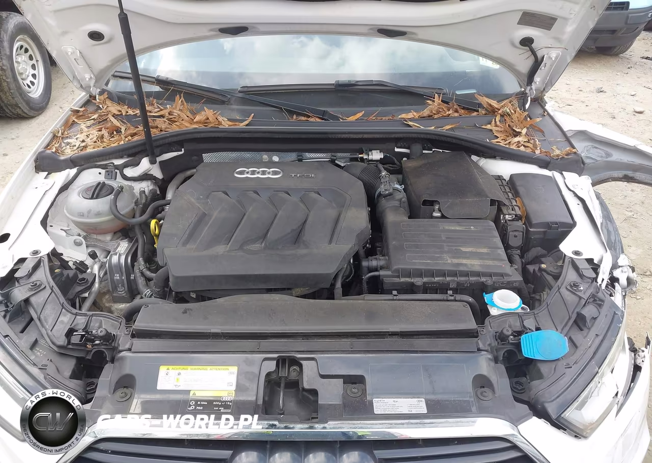 2017 Audi A3 2.0T Premium VIN:WAUAUGFF1H1033833 - 10