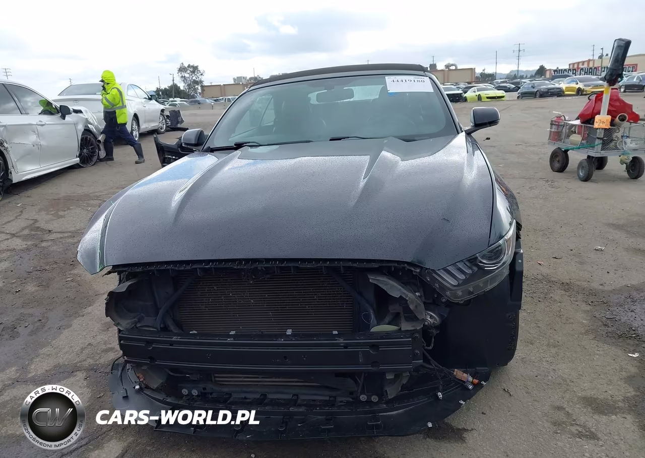 2017 Ford Mustang Ecoboost Premium VIN:1FATP8UH3H5292996 - 13