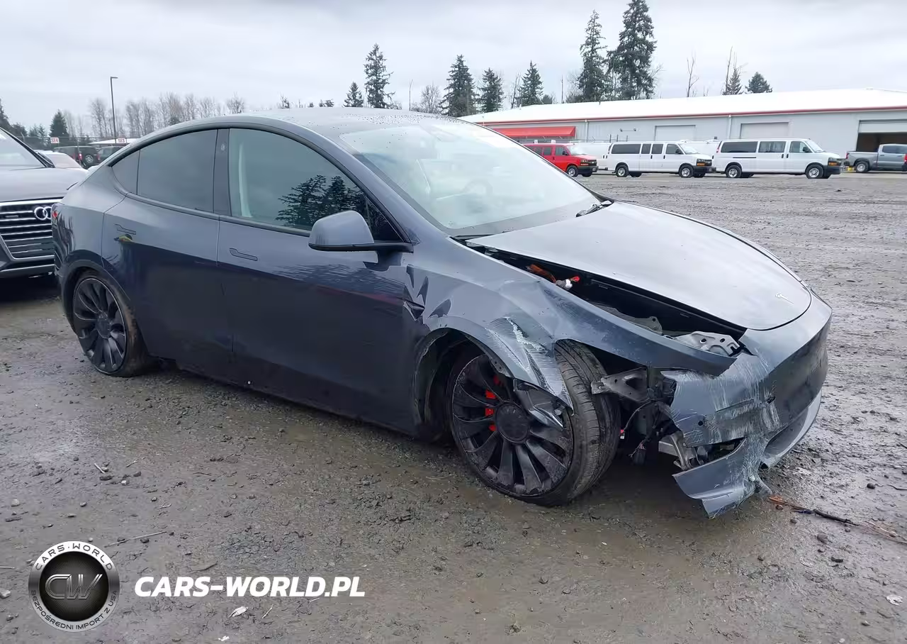 2022 Tesla Model Y Performance Dual Motor All-Wheel Drive