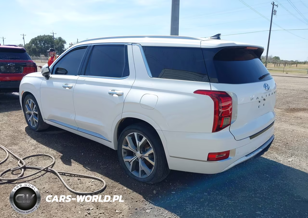 2021 Hyundai Palisade Limited VIN:KM8R54HE8MU195968 - 3